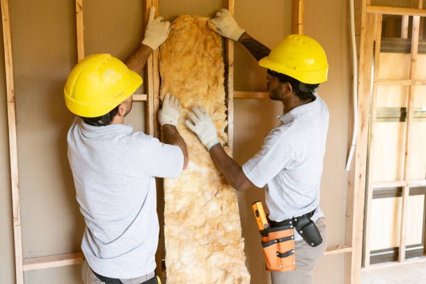 Best Blown-In Insulation  in Trinity, AL